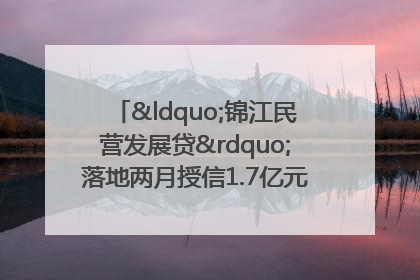 “锦江民营发展贷”落地两月授信1.7亿元，惠及118家民企