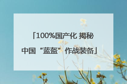 100%国产化 揭秘中国“蓝盔”作战装备