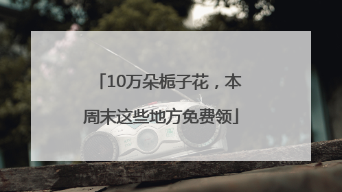 10万朵栀子花，本周末这些地方免费领