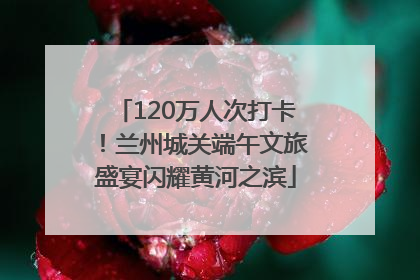 120万人次打卡！兰州城关端午文旅盛宴闪耀黄河之滨