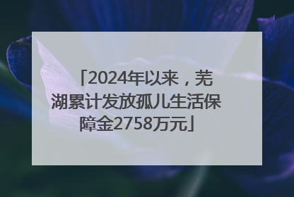 2024年以来，芜湖累计发放孤儿生活保障金2758万元