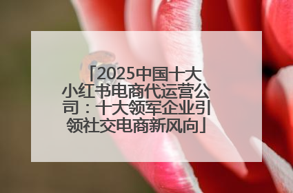 2025中国十大小红书电商代运营公司：十大领军企业引领社交电商新风向