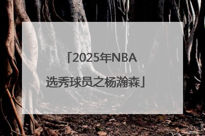2025年NBA选秀球员之杨瀚森
