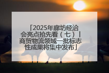 2025年廊坊经洽会亮点抢先看（七）丨商贸物流领域一批标志性成果将集中发布