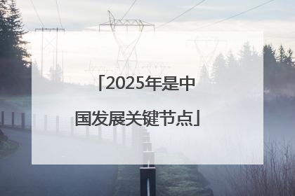 2025年是中国发展关键节点