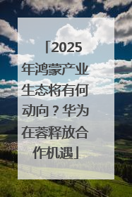 2025年鸿蒙产业生态将有何动向？华为在蓉释放合作机遇