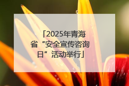 2025年青海省“安全宣传咨询日”活动举行