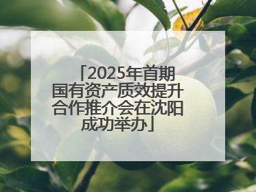 2025年首期国有资产质效提升合作推介会在沈阳成功举办