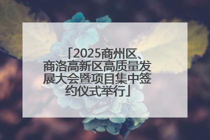2025商州区、商洛高新区高质量发展大会暨项目集中签约仪式举行