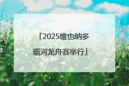 2025维也纳多瑙河龙舟赛举行
