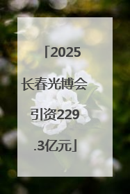 2025长春光博会引资229.3亿元