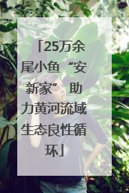 25万余尾小鱼“安新家” 助力黄河流域生态良性循环