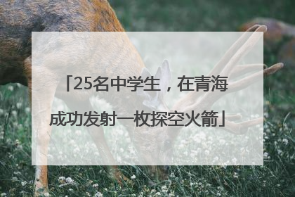 25名中学生，在青海成功发射一枚探空火箭