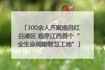 300余人齐聚南昌红谷滩区 观摩江西首个“全生命周期智慧工地”