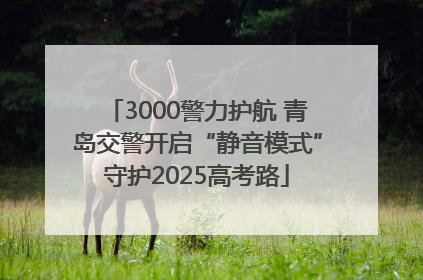 3000警力护航 青岛交警开启“静音模式”守护2025高考路