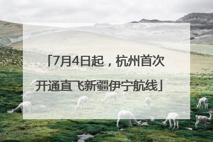 7月4日起，杭州首次开通直飞新疆伊宁航线