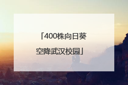 400株向日葵空降武汉校园