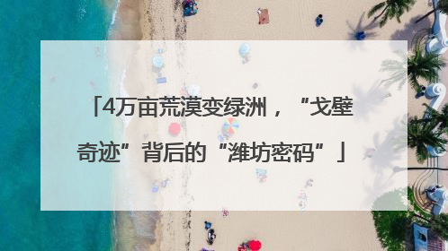 4万亩荒漠变绿洲，“戈壁奇迹”背后的“潍坊密码”