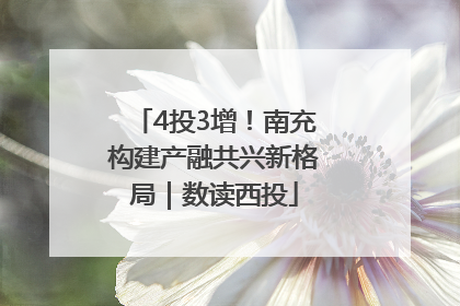 4投3增！南充构建产融共兴新格局｜数读西投