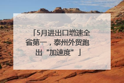 5月进出口增速全省第一，泰州外贸跑出“加速度”