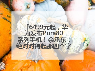 6499元起，华为发布Pura80系列手机！余承东：绝对对得起那四个字！华为近十年研发投入12490亿元