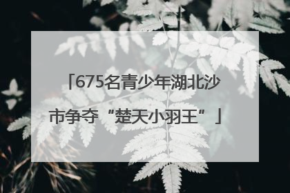 675名青少年湖北沙市争夺“楚天小羽王”