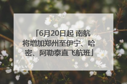 6月20日起 南航将增加郑州至伊宁、哈密、阿勒泰直飞航班