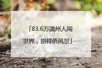 83.6万温州人闯世界，别样侨风景