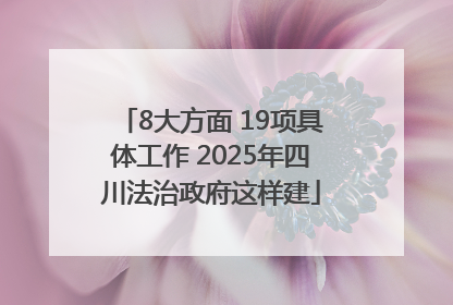 8大方面 19项具体工作 2025年四川法治政府这样建