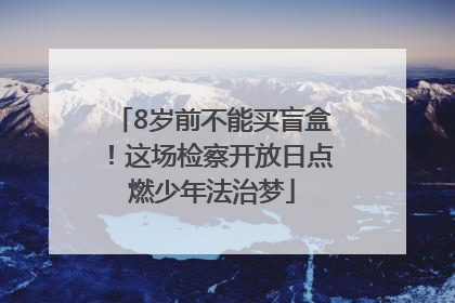 8岁前不能买盲盒！这场检察开放日点燃少年法治梦