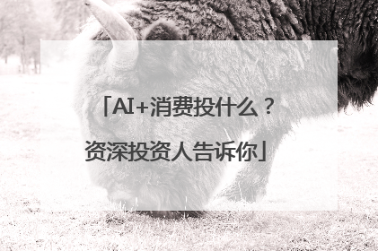 AI+消费投什么？资深投资人告诉你