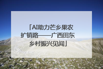 AI助力芒乡果农扩销路——广西田东乡村振兴见闻