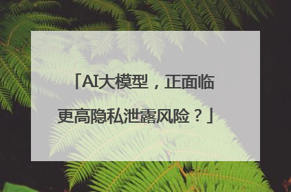 AI大模型，正面临更高隐私泄露风险？
