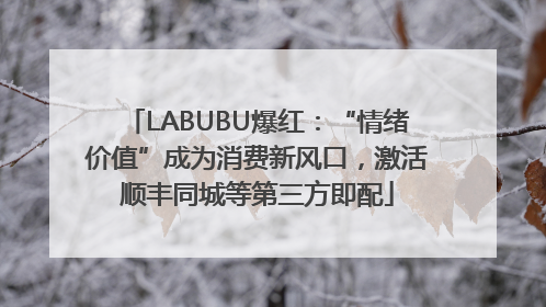 LABUBU爆红：“情绪价值”成为消费新风口，激活顺丰同城等第三方即配
