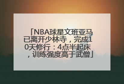 NBA球星文班亚马已离开少林寺，完成10天修行：4点半起床，训练强度高于武僧